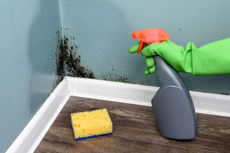 Mold and Mildew Removal