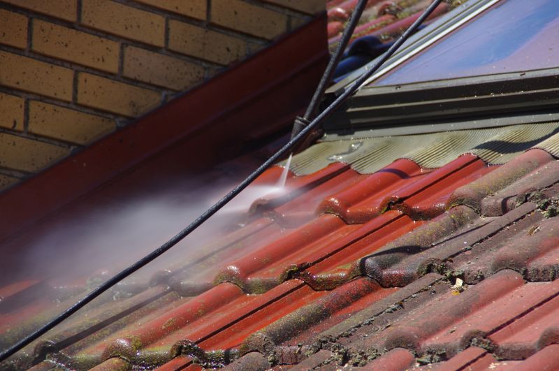Roof and Gutter Cleaning